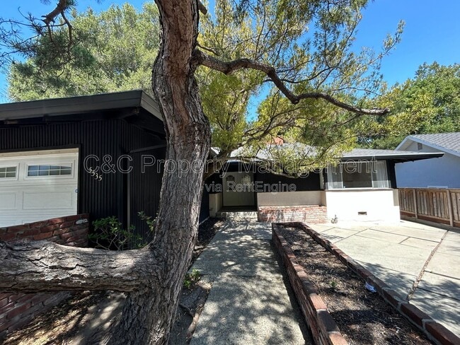 Photo - 5535 Olinda Rd House