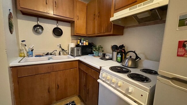 Building Photo - 1313 Burton Ct