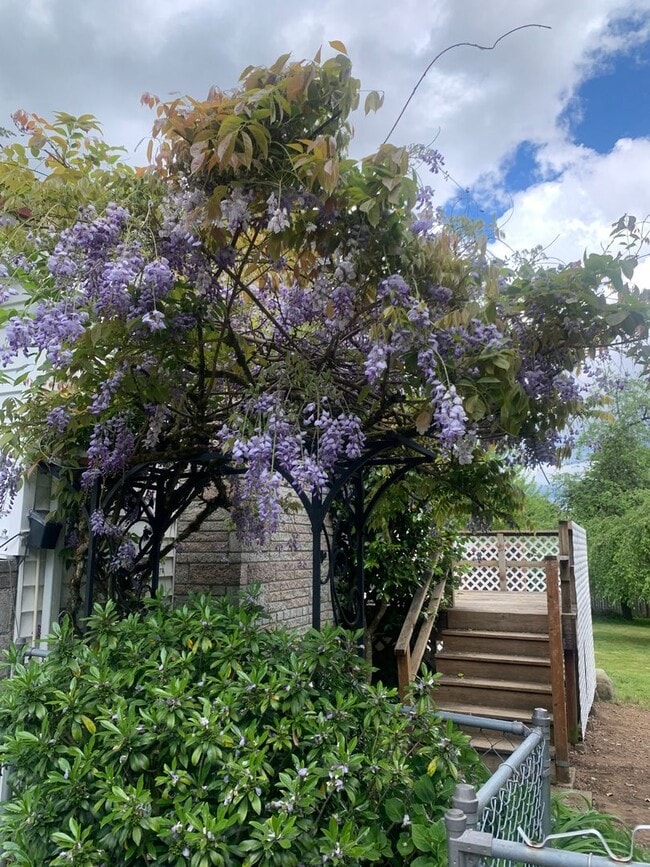 Foto del edificio - Spacious and bright