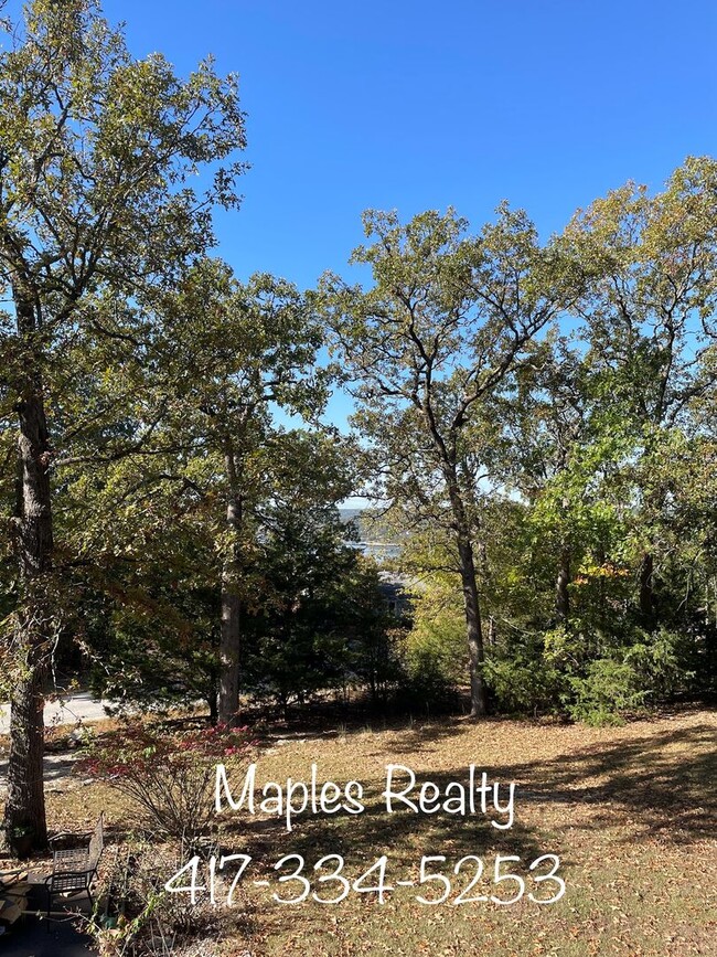 Building Photo - 3 bedroom, 2.5 bath in Ridgedale, MO near Big Cedar Lodge