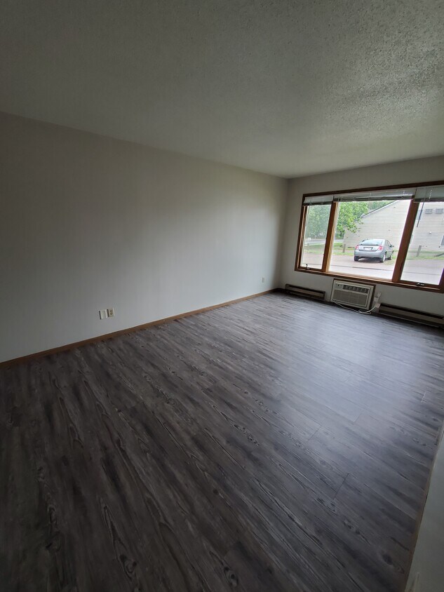Living Room - 414 S Division St