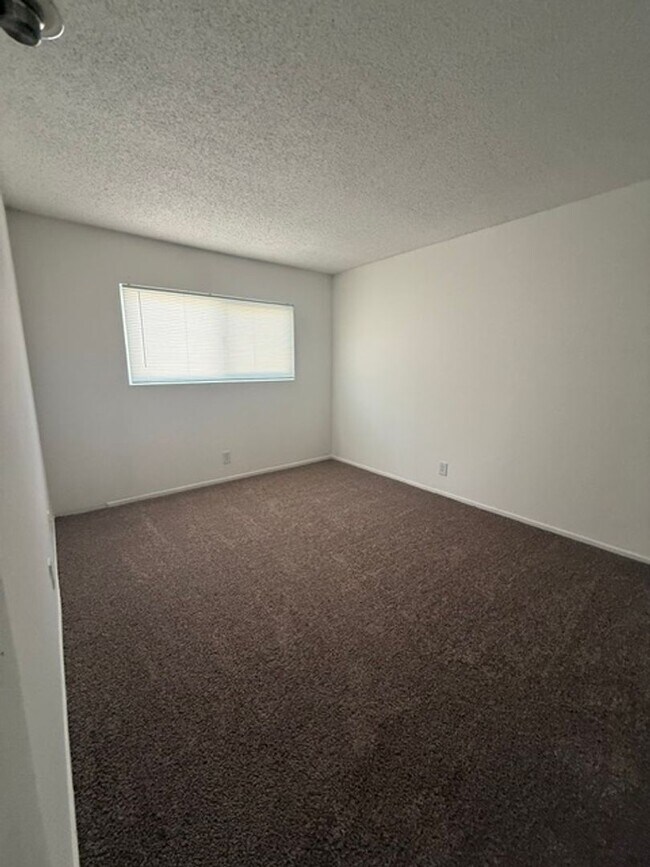 Foto del edificio - 2512 Tulip Ln