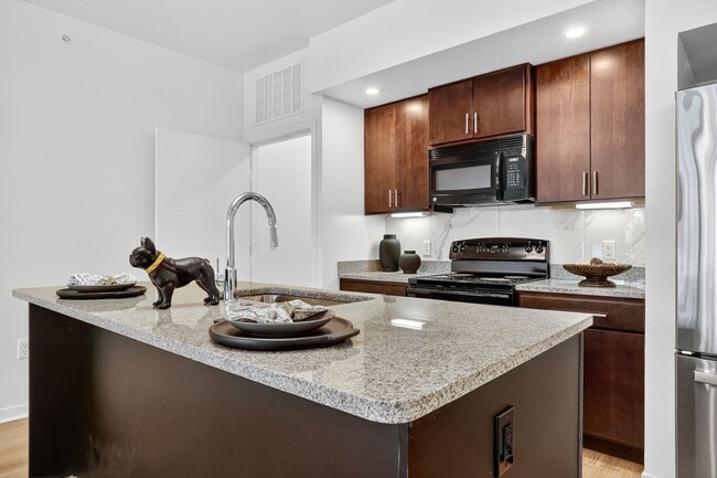 Luxury Loft Kitchen - Luxe at Union Hill