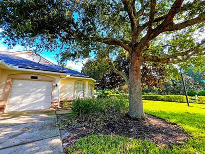 Building Photo - 214 Wooded Crossing Cir