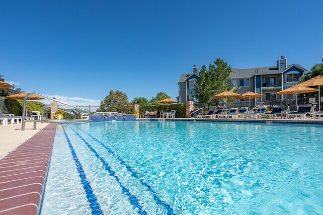 Piscina - Avana Eastlake