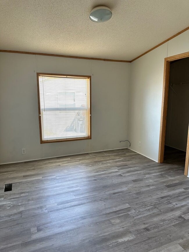 Foto del edificio - 119 Silver Maple Dr