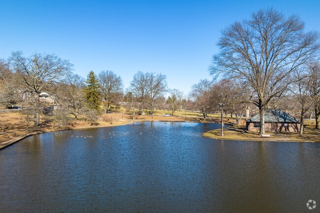 A view from just above the water of the duck pond in Meadowland Park.