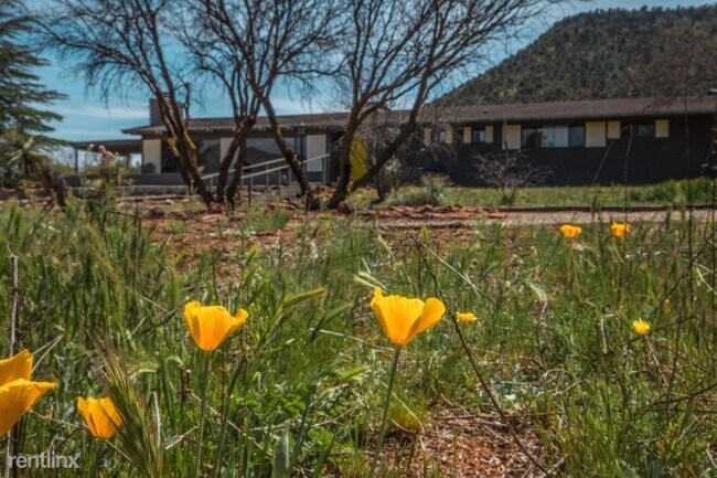 Building Photo - 3 br, 2 bath House - 295 ARABIAN DRIVE