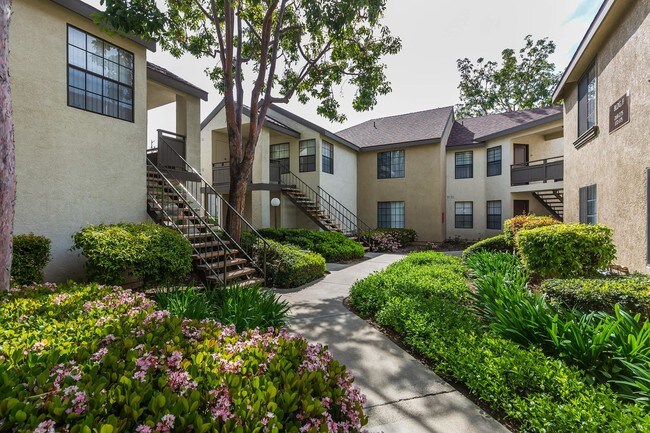Oak Tree Court Apartment Homes Placentia Ca Apartments Com
