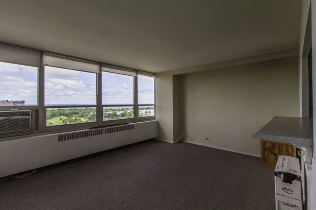 Building Photo - 3950 N Lake Shore Dr