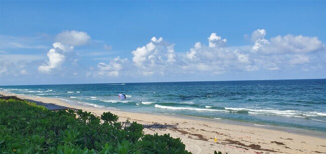 Foto del edificio - 1161 Hillsboro Mile