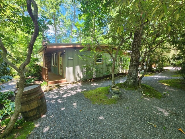 Building Photo - Black Mountain Cottage!