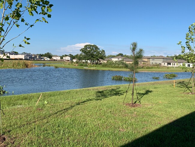 Building Photo - 35499 Shade Fern Ln