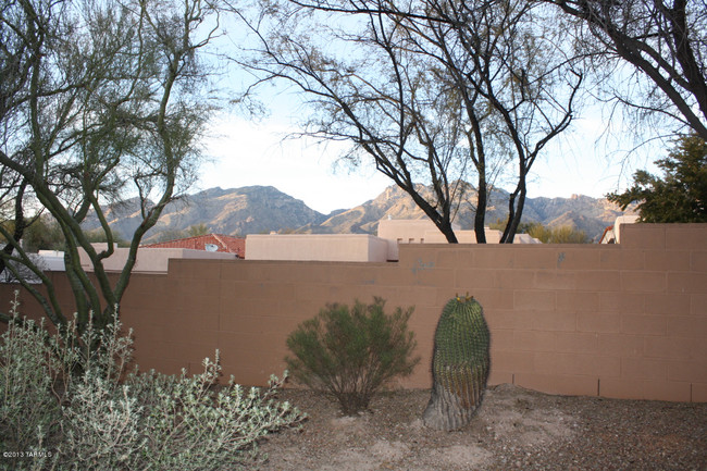 Foto del edificio - 5051 N Sabino Canyon Rd