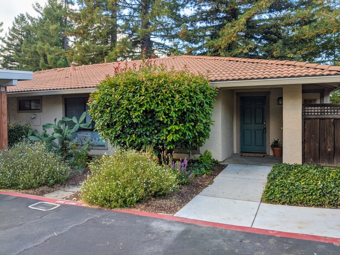 Primary Photo - 144 Peach Terrace