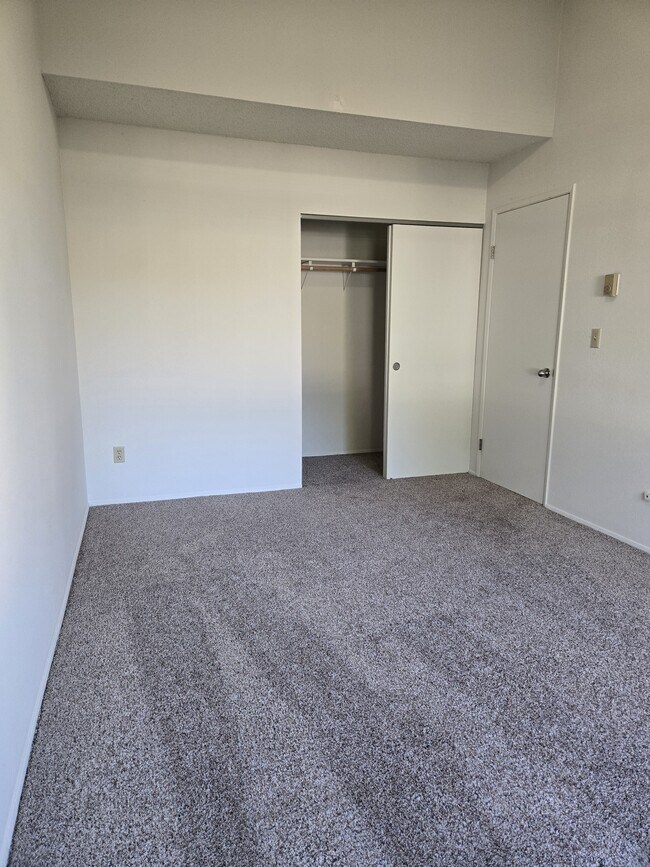 Downstairs bedroom - 5240 15th Ave NE