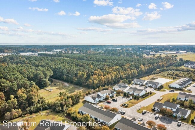 Building Photo - 2 br, 2 bath House - 802 Pirates Landing Dr