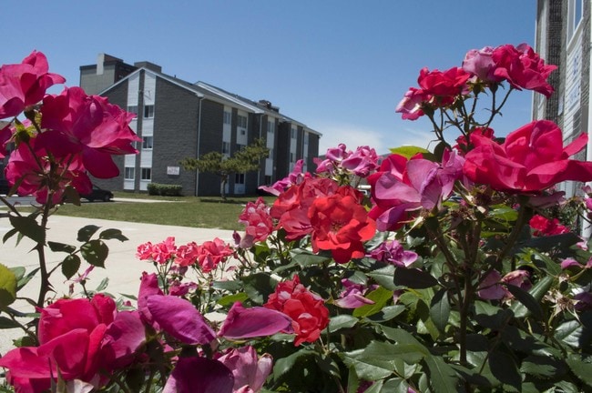 Building Photo - Carolina Village