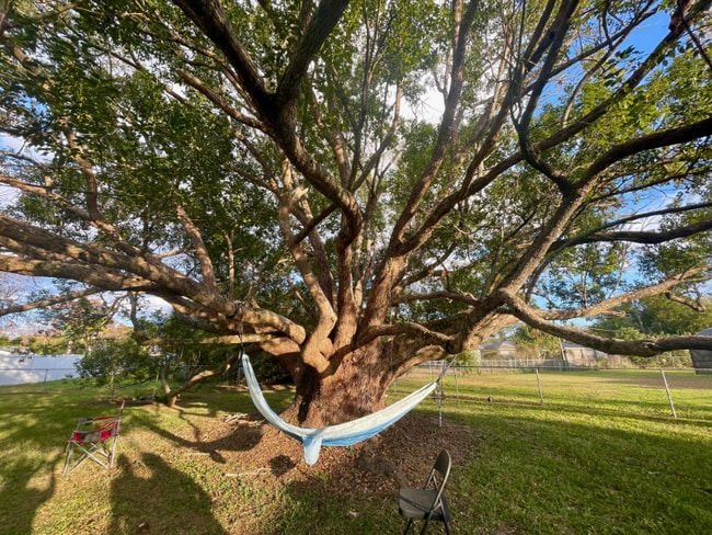 Photo - 950 Hedgewood Ct House