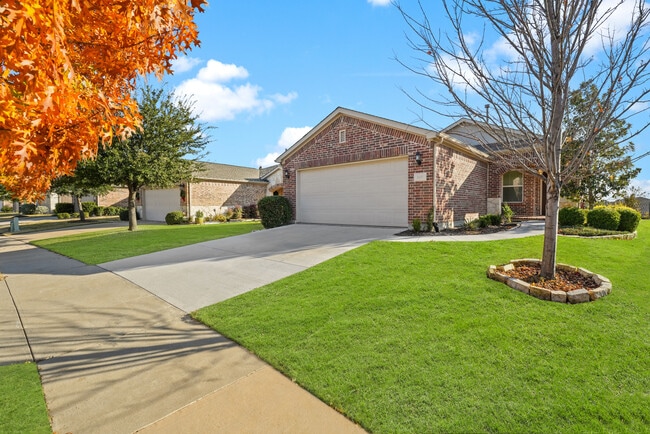 Building Photo - 245 Mariposa Ln