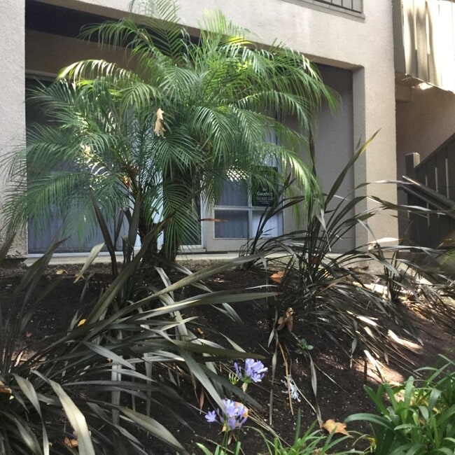 Foto del edificio - 151 W Glaucus St