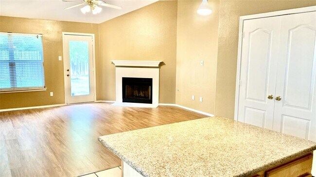 Building Photo - 18034 Platinum Springs Dr