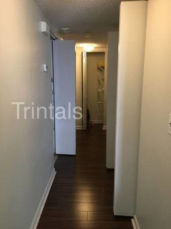 Building Photo - 1200 sq ft apartment located in south tampa
