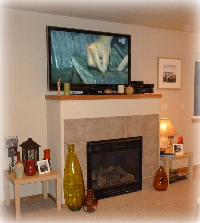 Fire place - 323 151st Pl SE