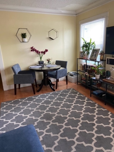 living room - 1707 Park Ave