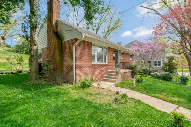 Foto del edificio - 3 BD 3 BA Mid-century Ranch in Arlington