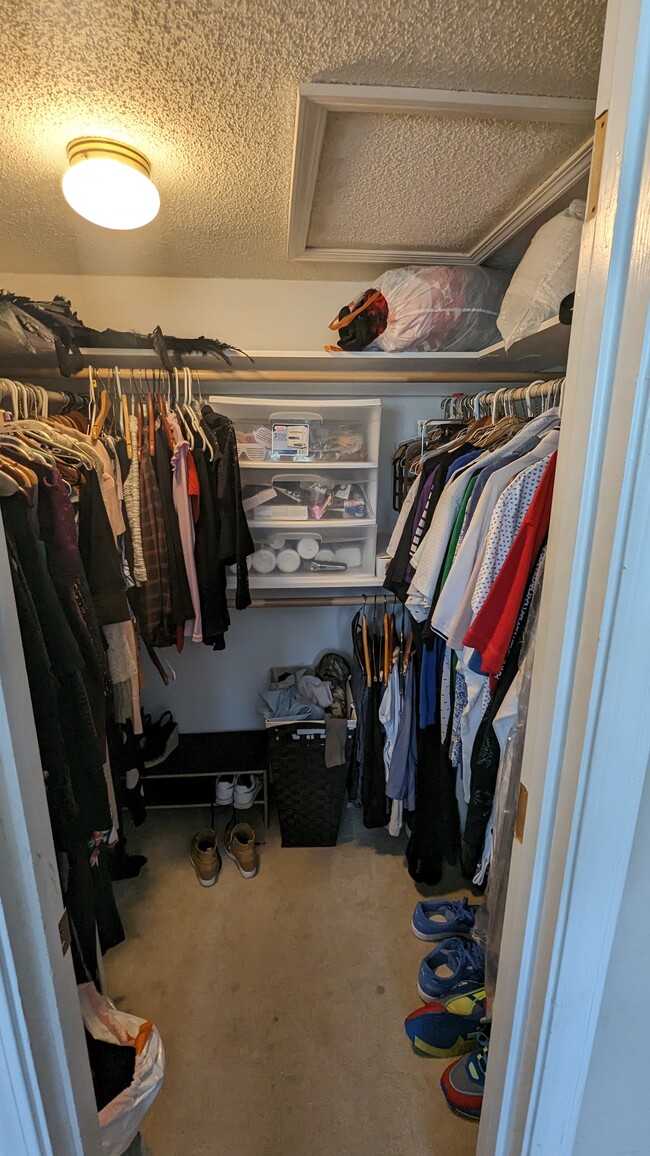 Primary walk in closet - 405 McGill Park Ave NE