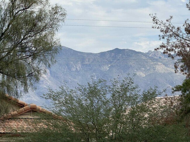 Foto del edificio - 2945 Bronze Creek Way