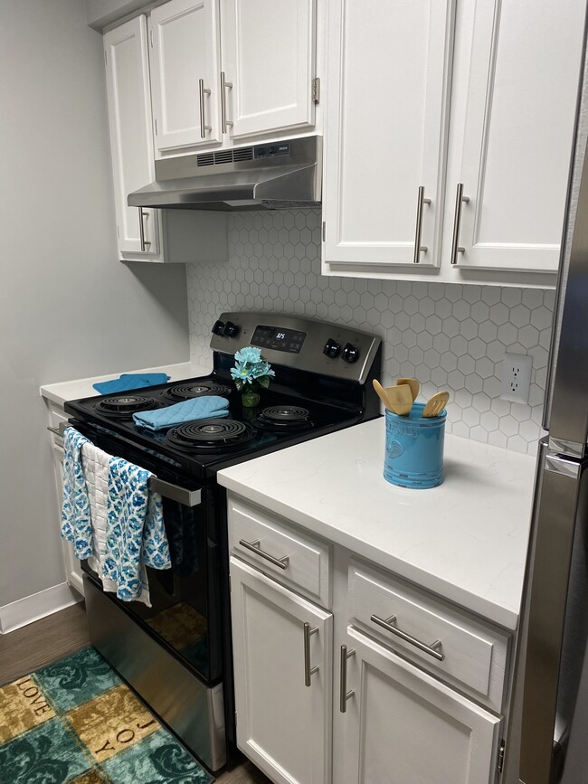 Renovated Kitchen - Stone Ridge Apartments