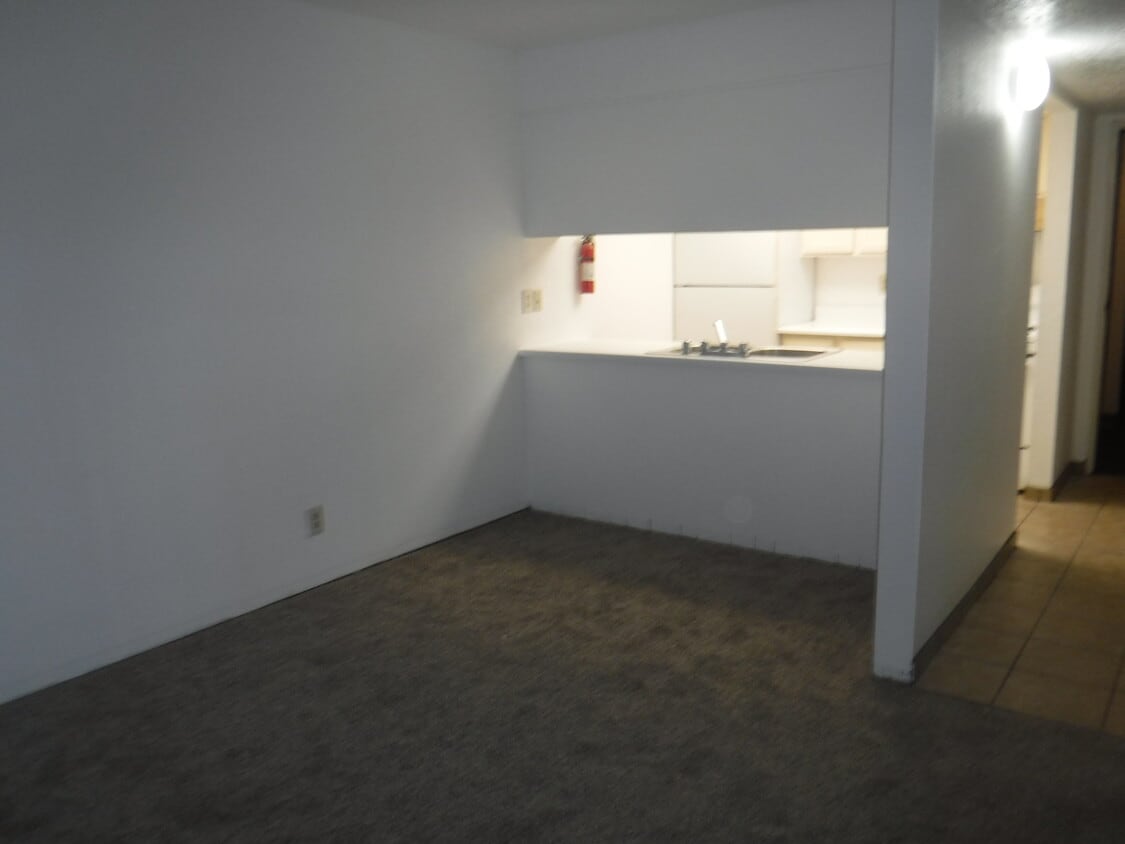 livingroom(no carpet only tile now) - 408 Maple St SE