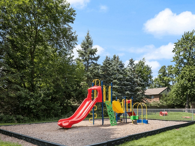 Colorful Playground - Whispering Timbers