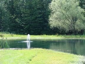 Building Photo - Beautiful serene home with 22 acres