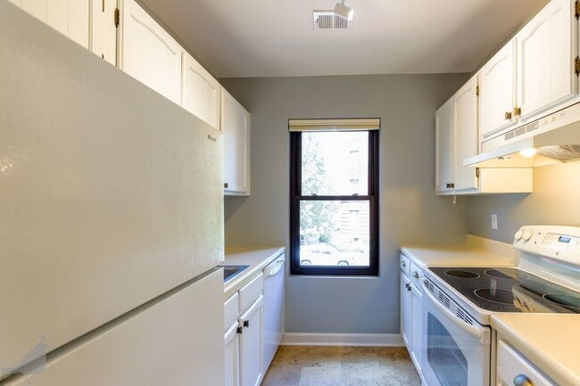 Building Photo - Luxury Loft in Logan Circle!