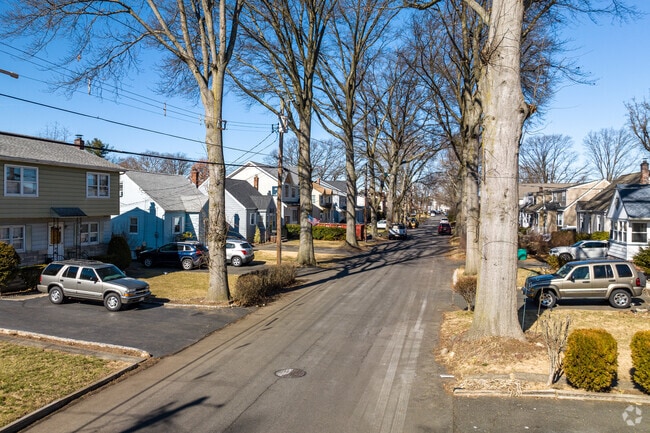 Trees line peaceful streets in Kenilworth.