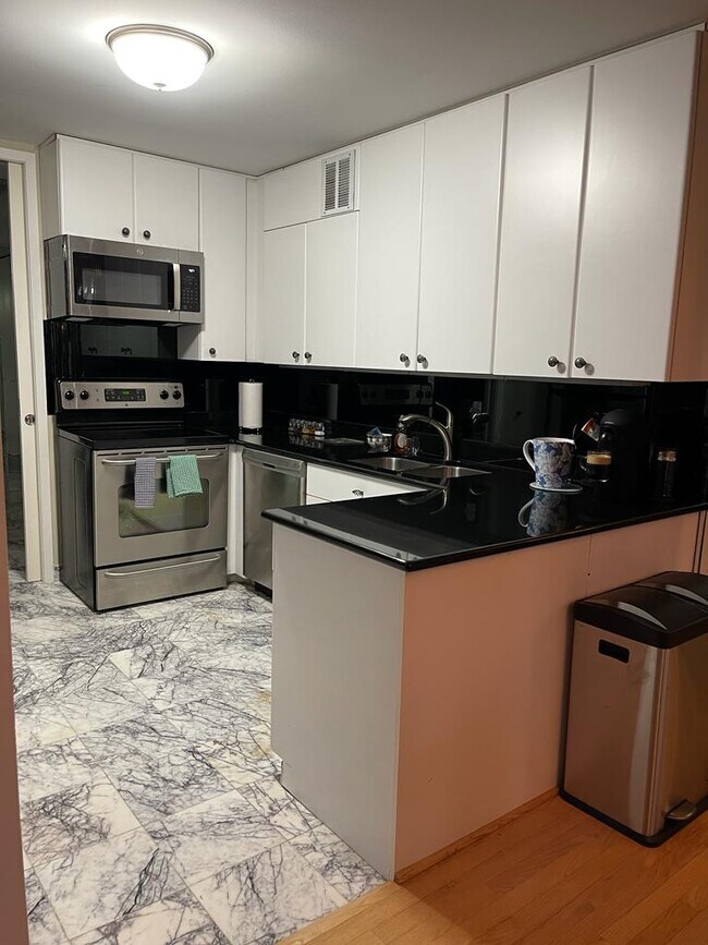 Foto del edificio - 505 N Lake Shore Dr