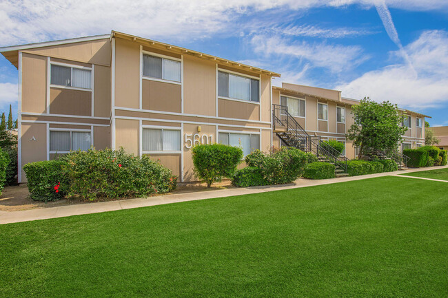 Building Photo - Ming Tree Apartments