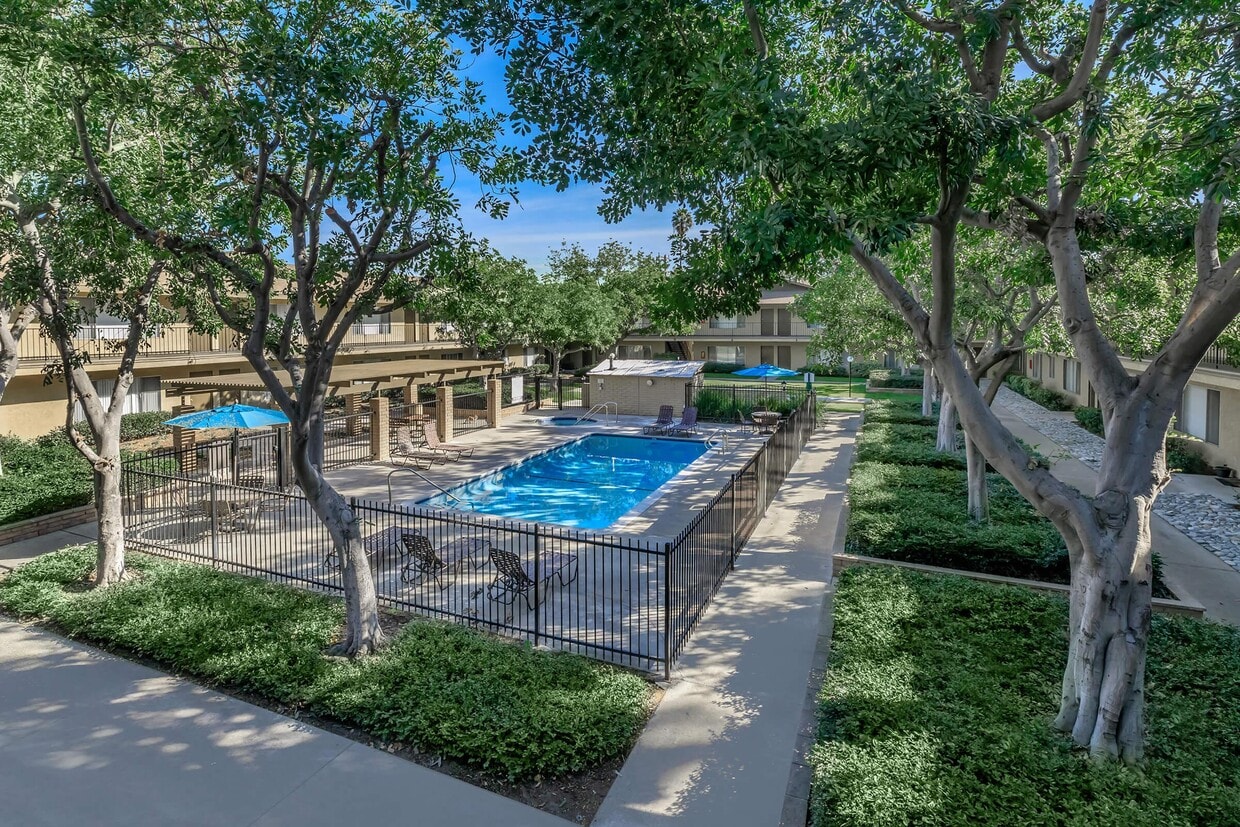 Foto principal - Palm Lane Apartment Homes