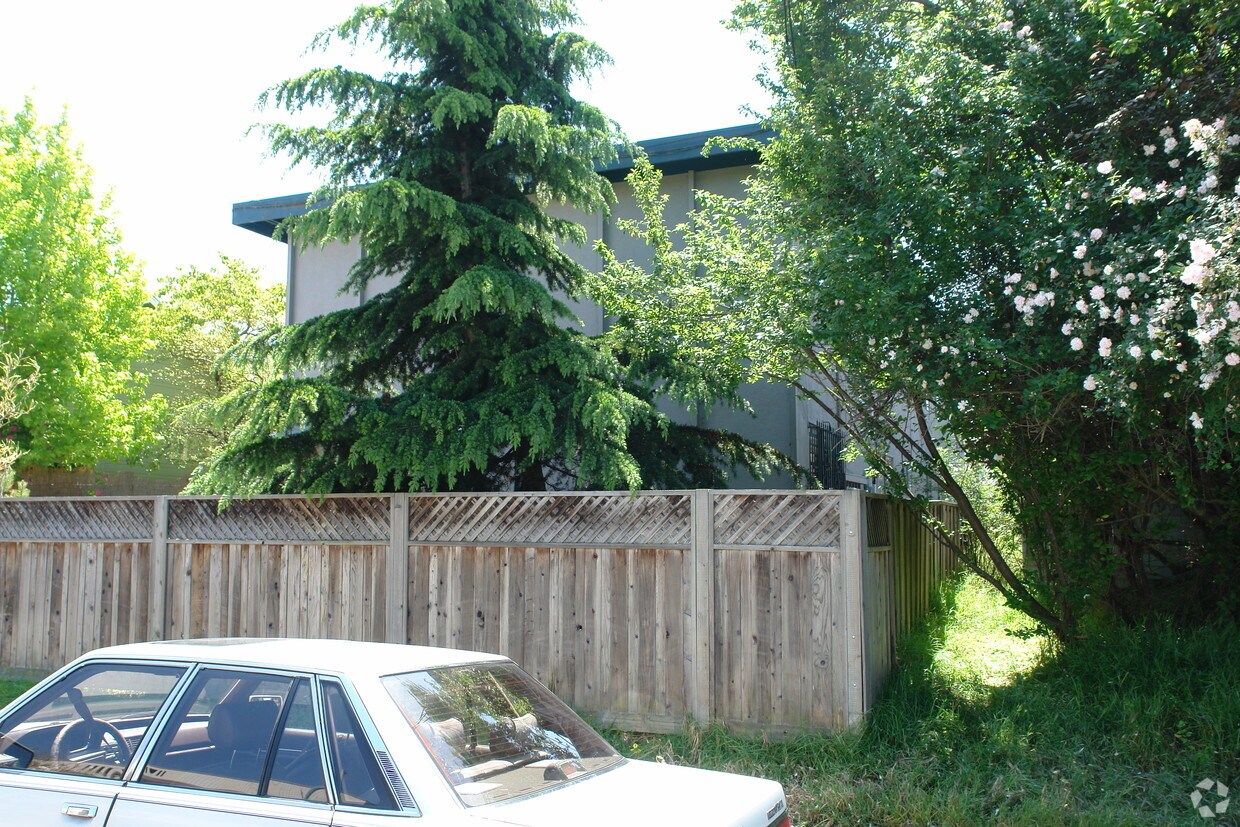 Building Photo - 1132 Francisco St