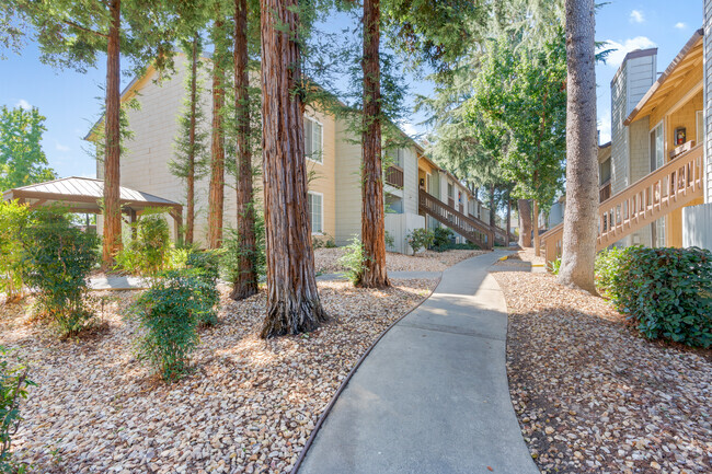 Alternative Building View - Walnut Village