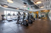 This fitness center is designed to support a comprehensive range of exercise activities within a thoughtfully organized, single-level layout. The space is divided into distinct zones, each serving a specific training purpose. The cardio area houses a row of elliptical trainers and treadmills equipped with individual digital displays, positioned along floor-to-ceiling windows that invite abundant natural light and provide outward views, creating an open, energizing atmosphere during workouts.

The strength training zone is well-stocked with a variety of cable machines, weight benches, a power rack, and multiple dumbbell racks offering a wide range of free weights. Large mirrors line the walls throughout, visually expanding the space and assisting with form during exercise. A separate spin studio is enclosed by glass partitions and accented with bold yellow walls, housing stationary bikes and a large mounted display screen.

An adjacent glass-walled room serves as a lounge or game area, featuring a ping-pong table, a beverage station, and carpeted flooring, offering a social counterpart to the active fitness space. Throughout the facility, exposed ductwork and piping run along the ceiling alongside circular pendant light fixtures, lending an industrial aesthetic. Durable rubber tile flooring covers the main exercise areas, providing safety and noise absorption across the entire facility.