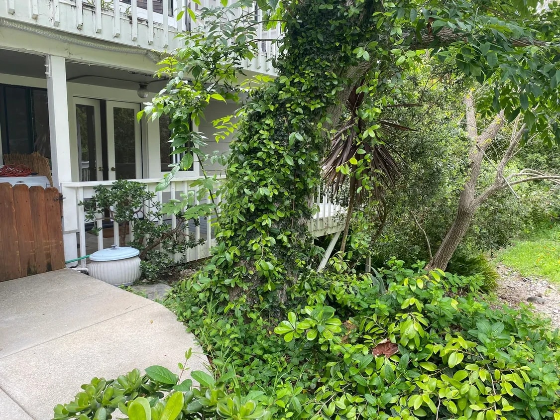 Photo - 31494 West St (Laguna Beach, CA)