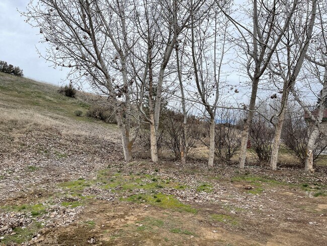 Foto del edificio - 3 Bed 2 Bath Home on Property Available for Lease