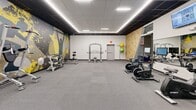 Located at 50 Morgan St in Hartford, Connecticut, this fitness center offers a comprehensive workout environment across a single, open floor. The space is thoughtfully designed to accommodate a wide range of exercise activities, with distinct zones for cardio training, strength work, and group or individual studio sessions.

The main gym area features a row of Spirit-brand treadmills and ellipticals positioned along a full-length wall mirror, allowing users to monitor their form during workouts. Multiple flat-screen TVs are mounted above the cardio equipment for entertainment. The strength training section includes a power rack, benches, a dumbbell rack, and cable machines, providing a thorough setup for resistance training. Spin bikes are also available for cycling workouts.

A standout design element is the large, dynamic athletic mural spanning one wall, depicting a bold figure in motion with yellow and black splatter accents, giving the space an energetic and motivating atmosphere. The dark drop ceiling with recessed linear LED lighting creates a modern, polished aesthetic that contrasts with the light-colored walls.

A separate studio area features light hardwood-style flooring, a neutral gray palette, a dropped tile ceiling with recessed lighting, and decorative potted plants along one wall — ideal for yoga, stretching, or group fitness classes. The durable rubber flooring throughout the main gym ensures safety and functionality.