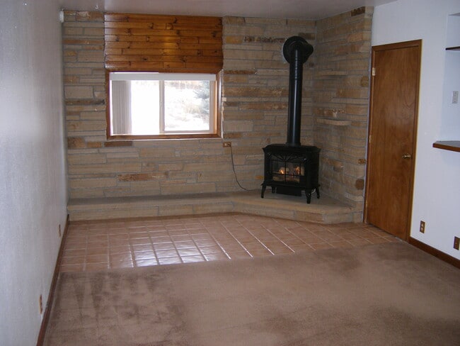 Fireplace - 5224 Rim Rock Ln
