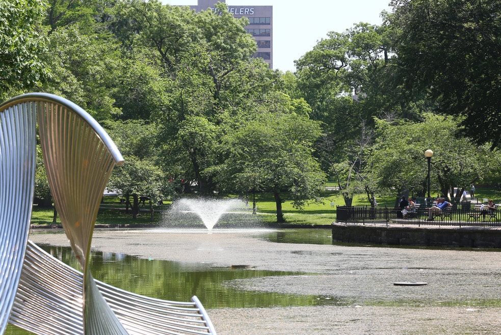 Is Frog Hollow a Good Place To Live in Hartford? Neighborhood Guide