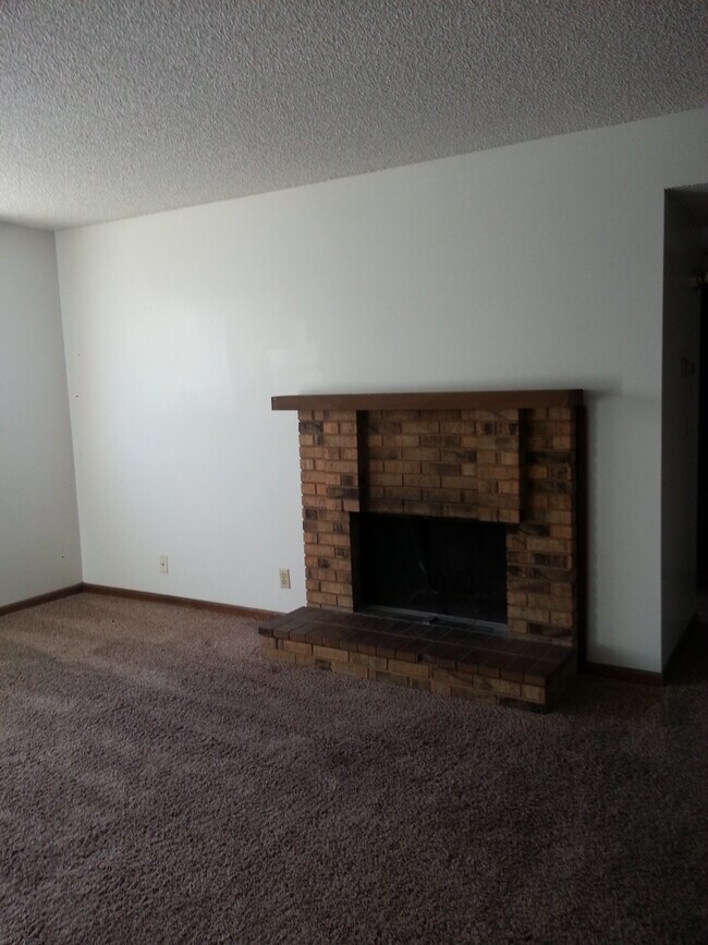 living room fire place - 412 S 24th St